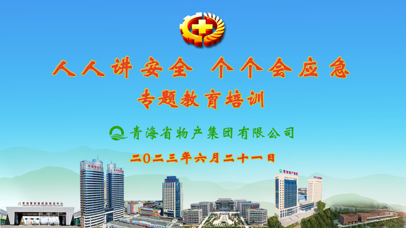 提高安全管理水平 落實(shí)全員安全責(zé)任——集團(tuán)安委會(huì)舉辦2023年“人人講安全，個(gè)個(gè)會(huì)應(yīng)急”專題教育培訓(xùn)