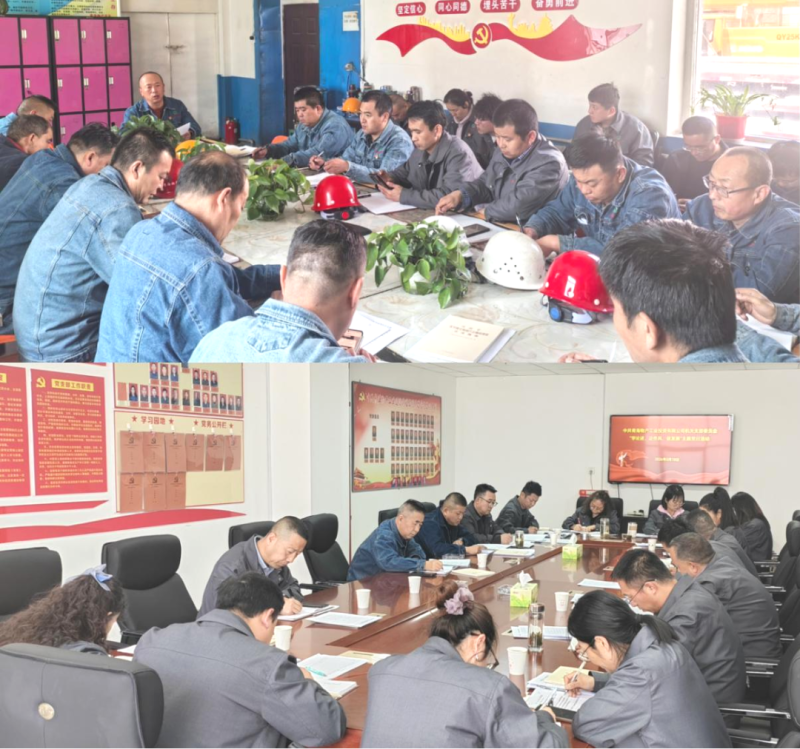 工投公司所屬各黨支部開展主題黨日活動(dòng)